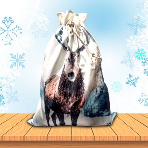 Christmas Sack